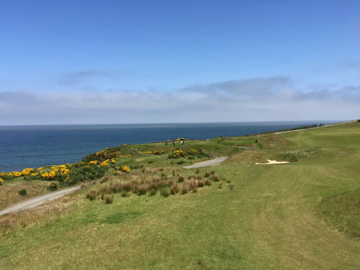 British Open - Photo 5