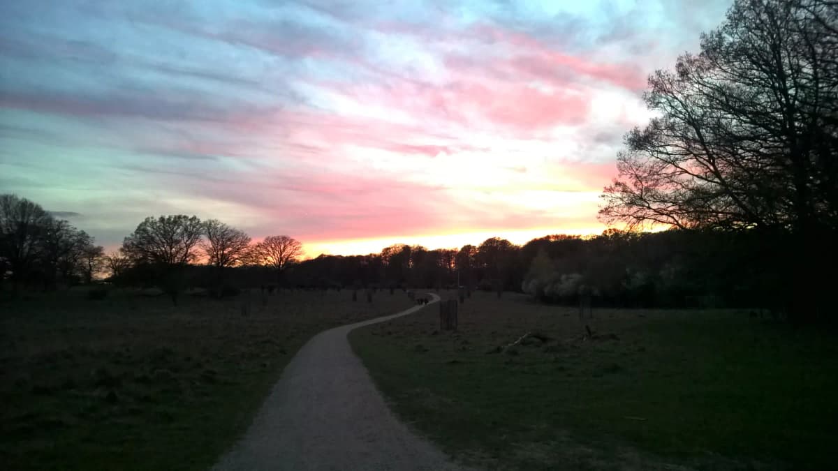 Casa Calella Cup - Photo 21