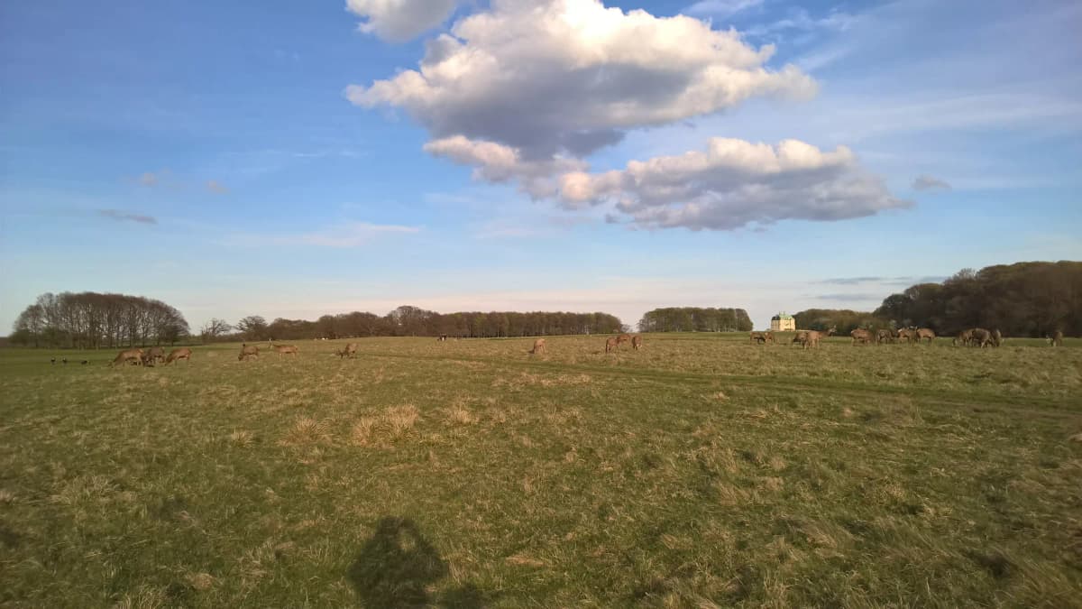 Casa Calella Cup - Photo 17