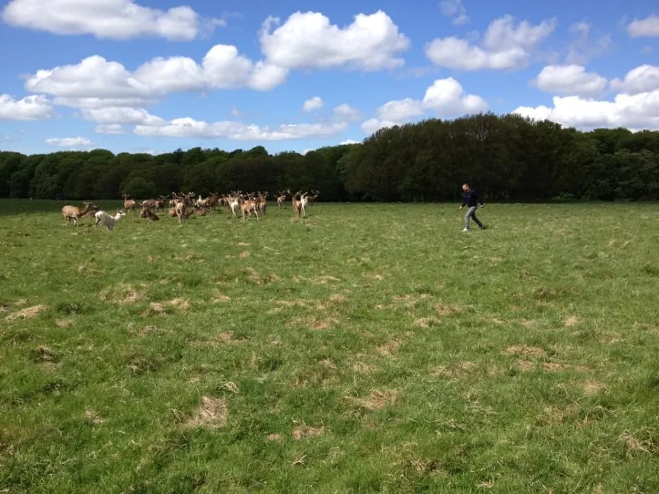 Copenhagen Open - Photo 11