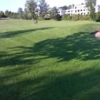 Tour Players Championship - Photo 6