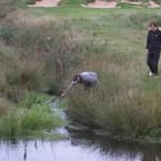 The International - Photo 28