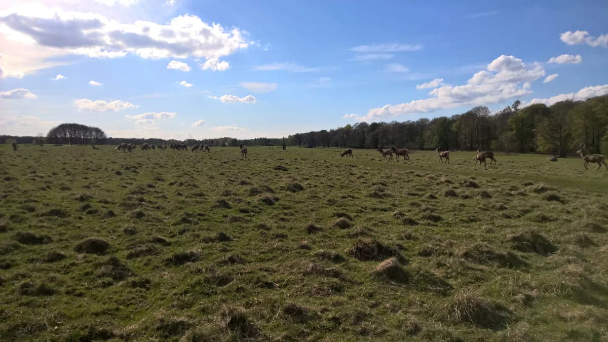 Casa Calella Cup - Photo 8