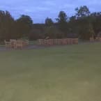 British Open - Photo 28