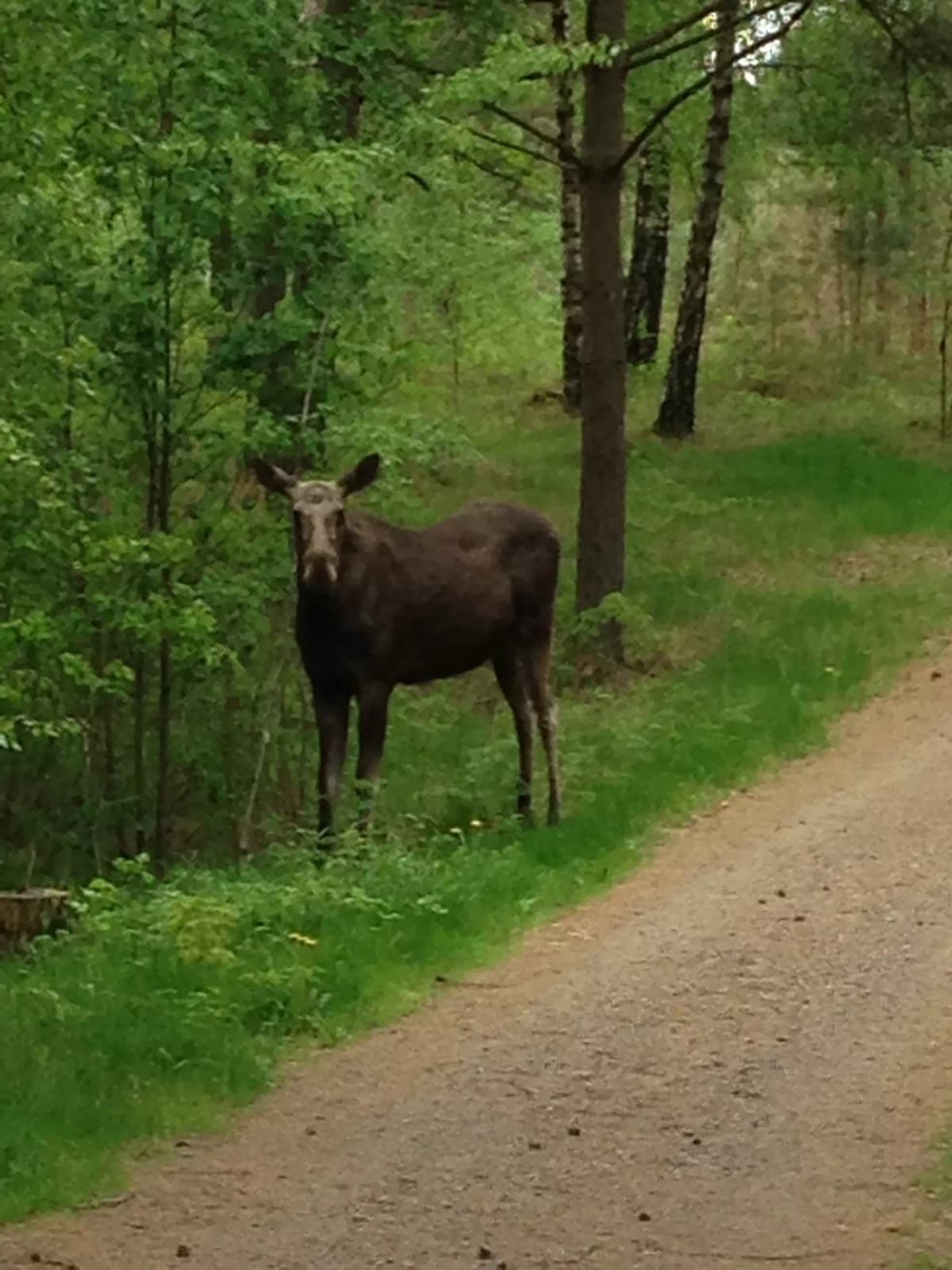 Scandinavian Masters - Photo 15