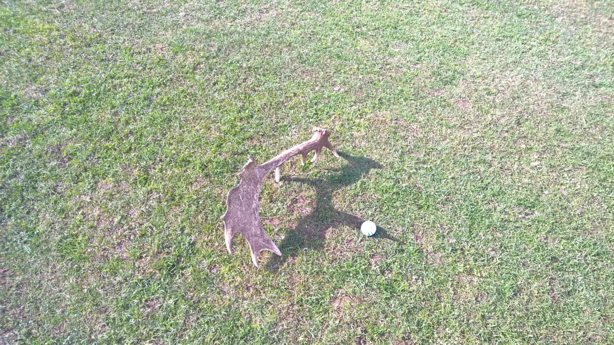 Casa Calella Cup - Photo 9