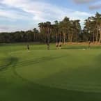 The 17th Ryder Cup - Photo 7