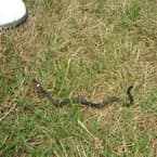 Casa Calella Cup - Photo 36