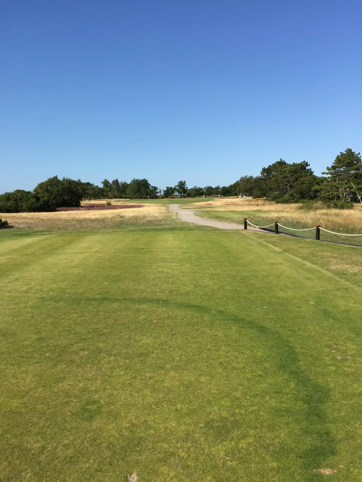 The International - Photo 5