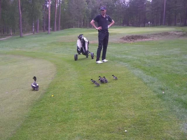 Scandinavian Masters - Photo 7