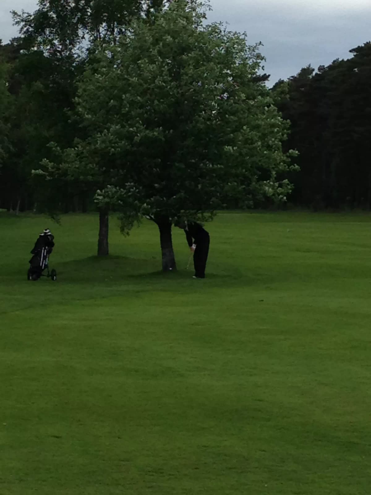 Scandinavian Masters - Photo 13